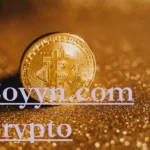 COYYN.com Crypto platform interface showing secure digital transactions and freelancer tools for modern business management